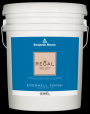Benjamin Moore REGAL SELECT Eggshell Premium Paint & Primer 5-Gallon