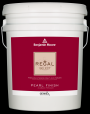 Benjamin Moore REGAL SELECT Pearl Premium Paint & Primer 5-Gallon