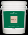Benjamin Moore REGAL SELECT Semi-Gloss Premium Paint & Primer 5-Gallon